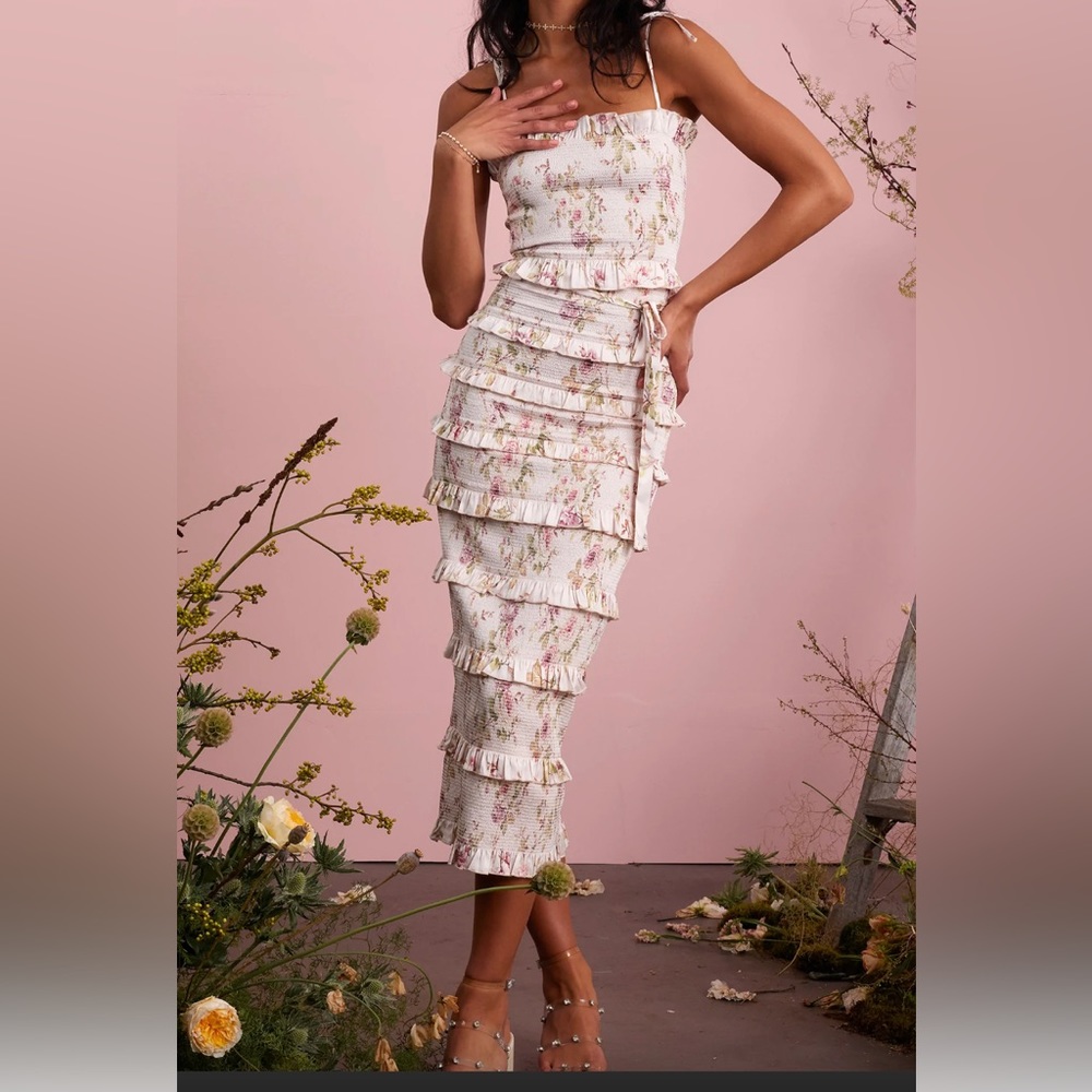 NWOT V.Chapman Lily dress in pink rose print sz 6